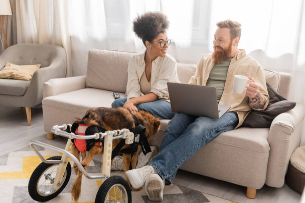 Smiling african american woman looking at boyfriend with coffee and laptop near disabled dog in wheelchair at home  - Foto, afbeelding