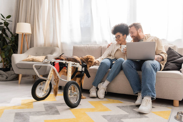 Mosolygó többnemzetiségű pár laptop és kávé nézi fogyatékos kutya otthon  - Fotó, kép