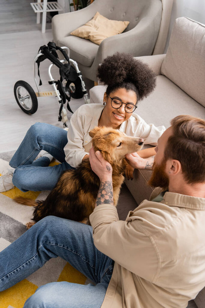 Usmívající se africká americká žena sedí v blízkosti zdravotně postiženého psa a tetovaného přítele v obývacím pokoji  - Fotografie, Obrázek
