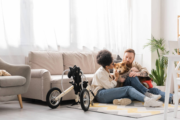 Multietnický pár při pohledu na postiženého psa v blízkosti invalidního vozíku v obývacím pokoji  - Fotografie, Obrázek