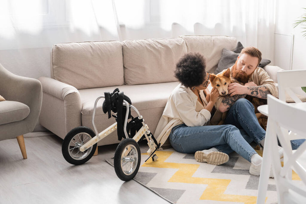 Multiethnic couple petting disabled dog near wheelchair in living room  - Фото, зображення