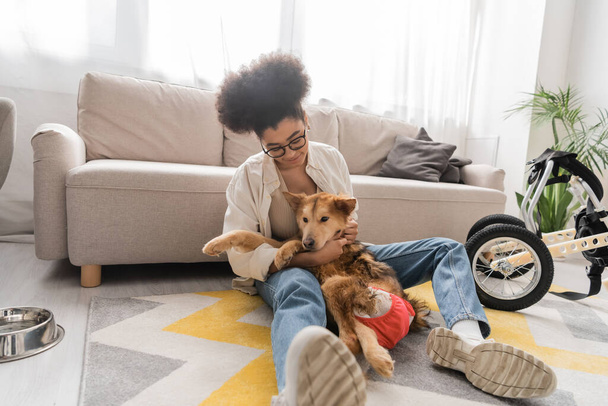 Young african american woman hugging handicapped dog near wheelchair and bowl on floor at home  - 写真・画像