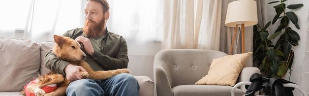 Bearded man petting handicapped dog while sitting on couch at home, banner  - Photo, Image
