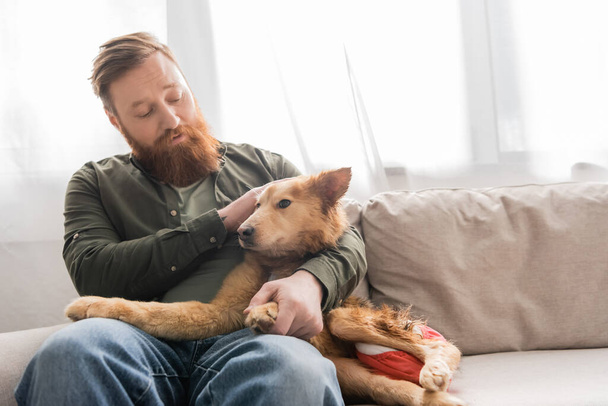 Bearded man hugging and looking at disabled dog on couch at home  - Photo, Image