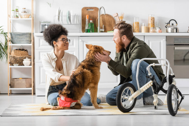Mutfakta tekerlekli sandalyenin yanında sakat köpekleri okşayan gülümseyen ırklar arası bir çift.  - Fotoğraf, Görsel