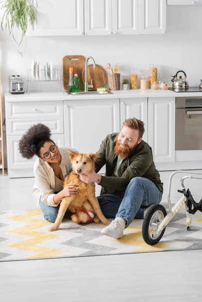 Positive multiethnic couple sitting near disabled dog and wheelchair in kitchen  - Photo, image