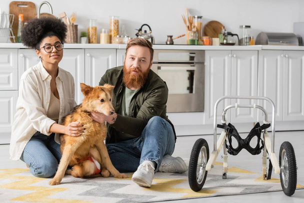 Multiethnisches Paar blickt in Kamera neben behindertem Hund auf Fußboden in Küche  - Foto, Bild