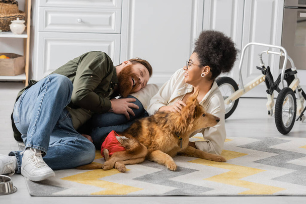 Happy bearded man spending time with african american girlfriend and disabled dog at home  - Foto, afbeelding