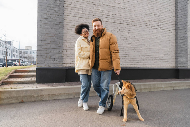 Positive multiethnic couple with disabled dog looking at camera on urban street  - Φωτογραφία, εικόνα