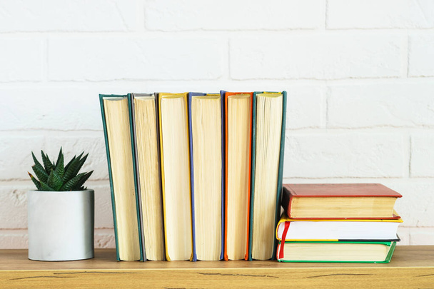 Renkli kitaplarla dolu bir kitaplık ve arka planda yeşil bir bitki.. - Fotoğraf, Görsel