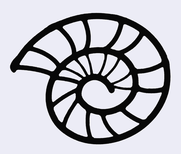 Conception abstraite sans soudure d'ammonite - Photo, image