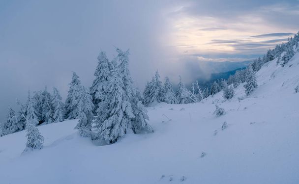 Σιωπή άγρια φύση χειμώνα. Οι λόφοι είναι καλυμμένοι με χιόνι το ηλιοβασίλεμα. Τοπίο με όμορφο γαλάζιο ουρανό - Φωτογραφία, εικόνα