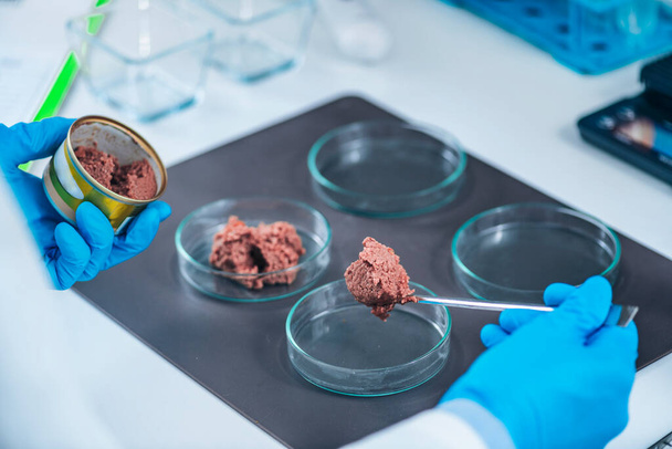 Microbiólogo preparando muestra de alimentos enlatados para mascotas para prueba de control de calidad en laboratorio.  - Foto, Imagen