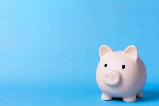 piggy bank on blue background. Finance & Investment Content - 写真・画像