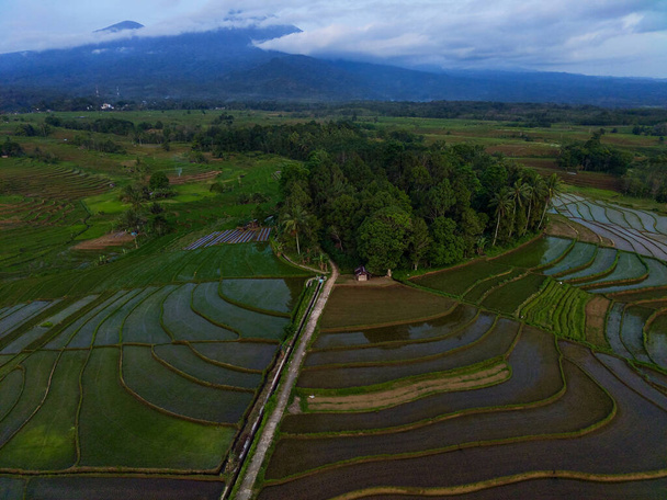 vista aerea bella vista mattutina dall'Indonesia su montagna e foresta - Foto, immagini
