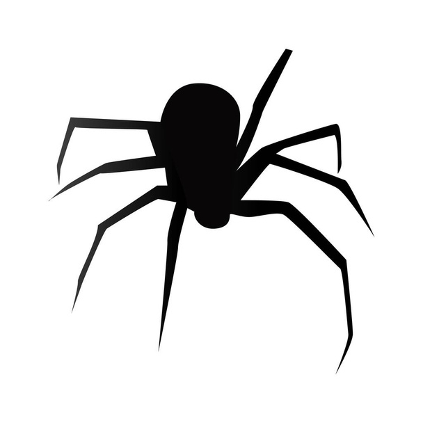 Spider Black Widow. Black bug spider silhouette, isolated white background. Scary Halloween icon, symbol horror, animal arachnid, creepy dangerous insect, arachnophobia fear. Vector illustration - Vector, Image