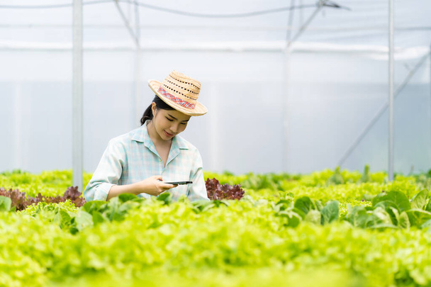 Дружелюбная азиатская женщина фермер овощной огород владелец улыбаясь и держа смартфон принимая имя заказа органических овощей гидропоника производят ферме сад оранжерея концепции агробизнеса - Фото, изображение