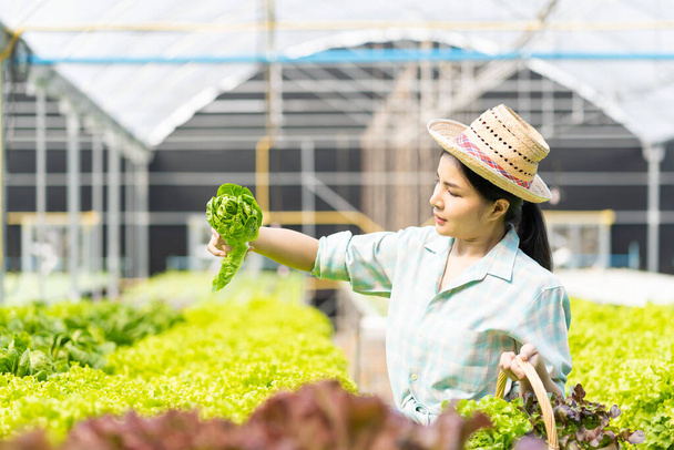 Farmer Vegetable Garden Owner Young Asian Friendly Woman Smiling and Holding Vegetable Salad Organic Fresh Hydroponic Vegetables Produced in Farm Nursery Garden Greenhouse agribusiness ideas - Zdjęcie, obraz