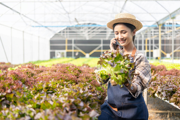 ファーマーズ・ベジタブル・ガーデンのオーナー若いアジア人フレンドリーな女性の笑顔と野菜サラダオーガニックフレッシュ・ヒドロノミック・ベジタブル・ファーム・保育園で生産温室農業のアイデア - 写真・画像