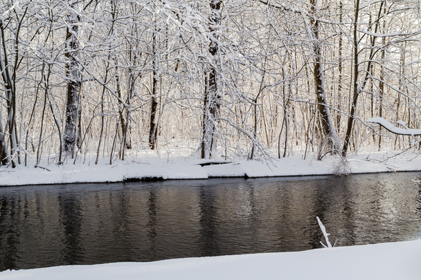 Зимний пейзаж
 - Фото, изображение