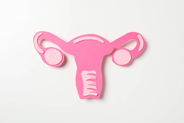 Women's health and women's healthcare concept with uterus - Foto, imagen
