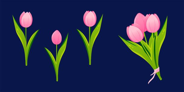 Tulpenblüten gesetzt. Blütenpflanzen mit rosa Blütenblättern. Botanische Vektorillustration auf isoliertem Hintergrund. Frühlingsblumen zum Frauentag, Muttertag, Ostern und anderen Feiertagen. Pinkfarbene Tulpen - Vektor, Bild