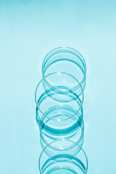Petri dish. A set of Petri cups. On a blue blue background. - Photo, Image