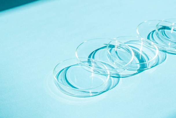 Petri dish. A set of Petri cups. On a blue blue background. - Foto, afbeelding
