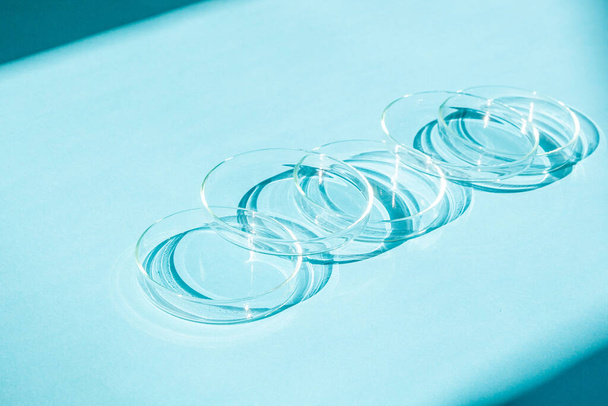 Petri dish. A set of Petri cups. On a blue blue background. - Foto, imagen
