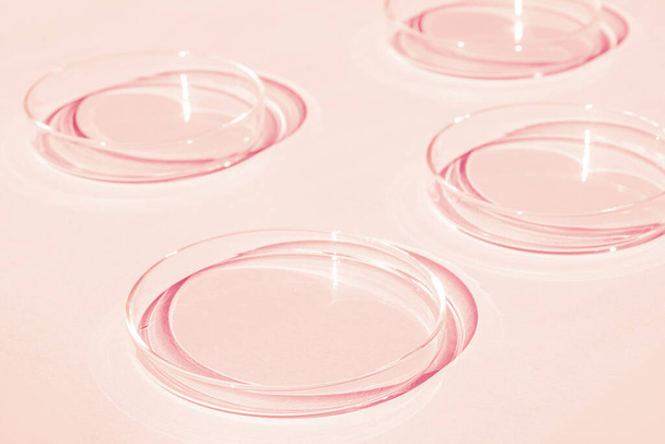 Placa de Petri. Un juego de tazas Petri. Sobre un fondo rosa. Mitad de laboratorio. - Foto, imagen