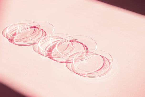 Petri dish. A set of Petri cups. On a pink background. Laboratory half. - Photo, image