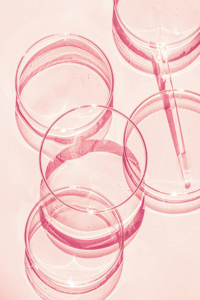Boîte de Pétri. Un ensemble de tasses de Petri. Une pipette, un tube en verre. Sur fond rose. - Photo, image