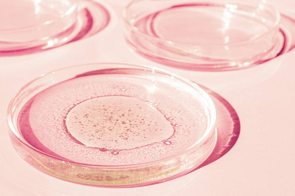 Petri dish. Petri's cup with liquid. Chemical elements, oil, cosmetics. Gel, water, molecules, viruses. Close-up. On a pink background. - Photo, Image