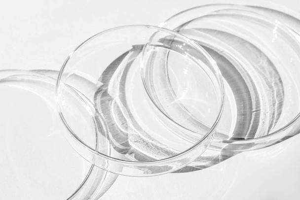 Petri dish. A set of Petri cups. On a white background. Laboratory half. - Фото, изображение