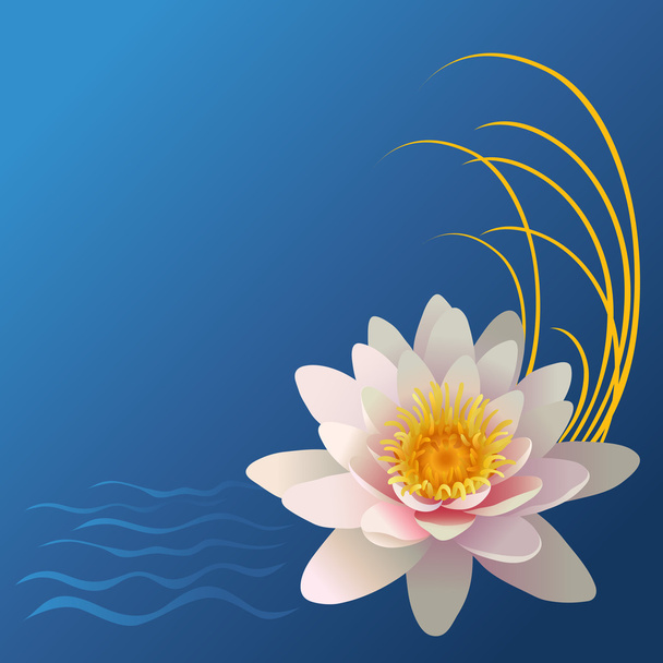 Tarjeta de flor de loto
 - Vector, Imagen