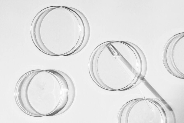 Boîte de Pétri. Un ensemble de tasses de Petri. Une pipette, un tube en verre. Sur fond blanc. - Photo, image