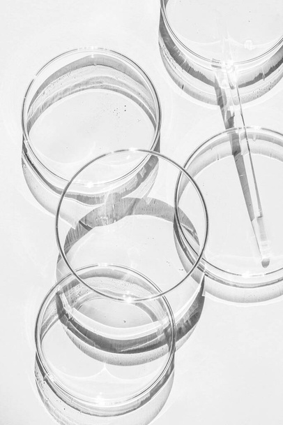 Petri dish. A set of Petri cups. A pipette, glass tube. On a white background. - 写真・画像