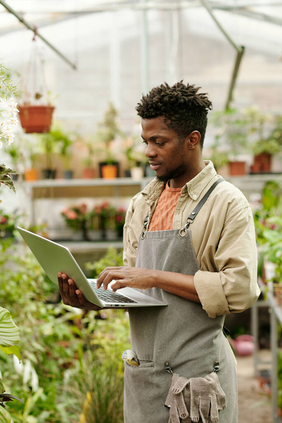 jovem jardineiro africano em uniforme usando laptop para olhar para cima sobre espécies de plantas durante seu trabalho em estufa - Foto, Imagem