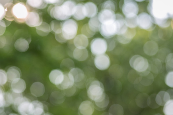 Боке, сделанный естественным светом
 - Фото, изображение