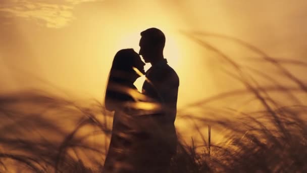 Ζευγάρι που περπατάει σε ένα ανεμοδαρμένο χωράφι. Σκιερά ζευγάρια. Ζευγάρι ερωτευμένο βιώνει ρομαντικές τρυφερές στιγμές στο ηλιοβασίλεμα - Πλάνα, βίντεο