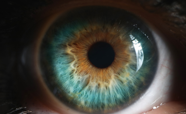Nahaufnahme eines grünen menschlichen Auges bei schwachem Licht. Hyperopie, Kurzsichtigkeit, Astigmatismus und Laser-Sehkorrektur - Foto, Bild