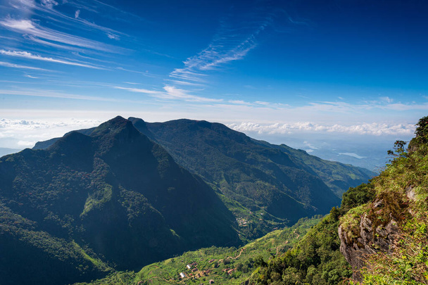 Prachtige landschap jungle van Sri Lanka - Foto, afbeelding