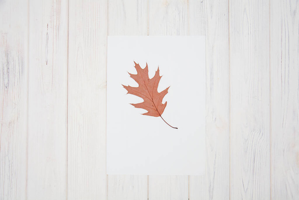 Herbstblätter auf einem hölzernen Hintergrund - Foto, Bild