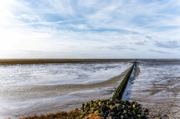 Wadden Denizi 'nin çamurlu düzlüğü. Düşük gelgitte UNESCO Dünya Mirası sahası. Holwerd, Hollanda. - Fotoğraf, Görsel