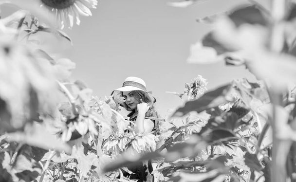 Carefree girl surrounded sunflowers enjoying her life, positivity concept. - Foto, Imagem