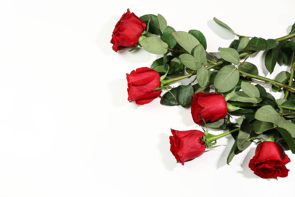 Red roses isolated on white background. Valentine's day, Birthday, Mother's day, wedding, anniversary. Flat lay. Directly above. Copy space. - Zdjęcie, obraz
