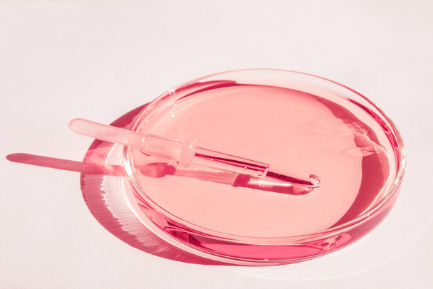 Petri edények. Rózsaszín folyadékkal. Megoldással. Orvosi pipetta. Fehér alapon. - Fotó, kép