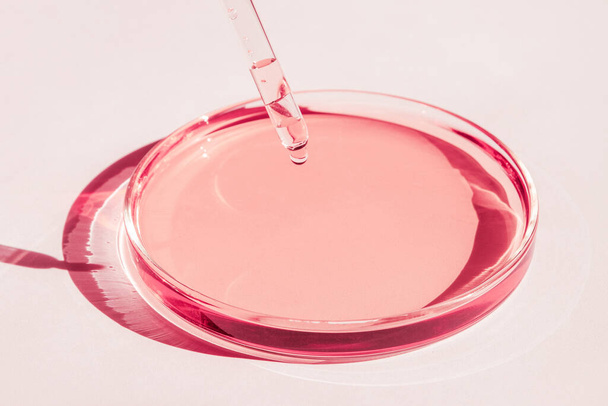 Petri-csésze. Rózsaszín folyadékkal. Megoldással. Pipette csöpög fentről. Fehér alapon. - Fotó, kép