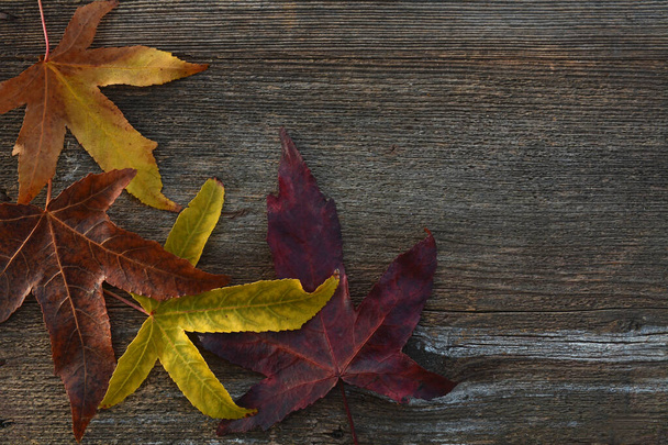 podzimní listy na dřevěném pozadí - Fotografie, Obrázek