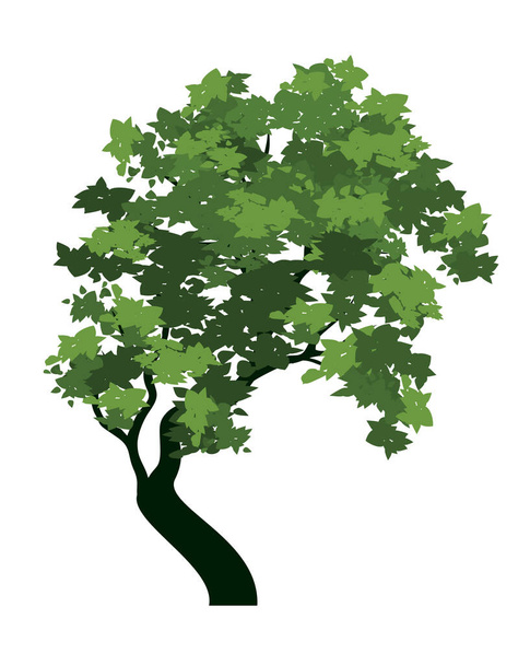 Green sloping Tree with Leaves. Vector outline Illustration. - Vetor, Imagem